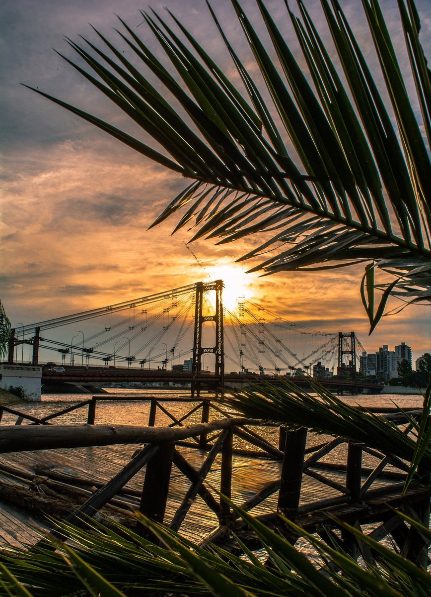 MIAMI DE LA VERA CRUZ 😍✨️