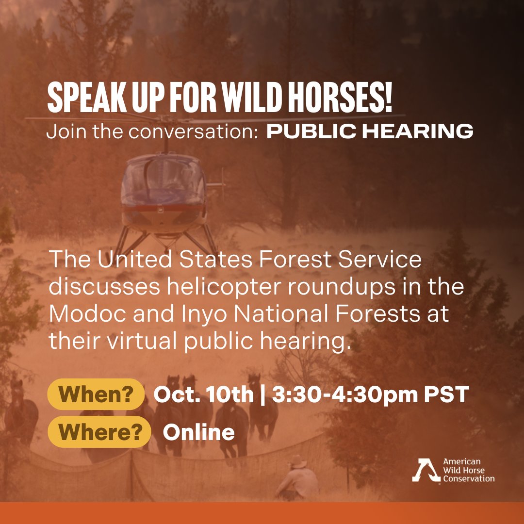 FreeWildHorses's tweet photo. The United States Forest Service is holding a virtual public hearing to discuss the use of helicopters in wild horse roundups in the Modoc and Inyo National Forests. Our wild horses and burros need your voice. Learn how to attend or send your letter here!: https://t.co/NMNzaGROGy https://t.co/68VvV1xZkP