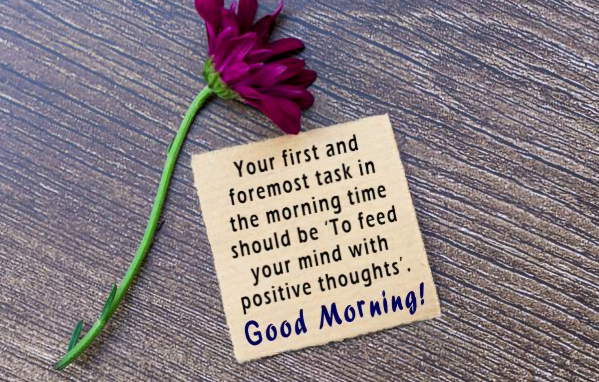 sgcoolcoolday's tweet photo. #goodmorning #goodmorningsingapore #sgccd #MondayBlues #MondayEnergy #MondayFeeling #MondayFun #MondayMadness #MondayMood #MondayMorning #MondayMotivation #MondayQuotes #MondayThoughts #MondayTopic #MondayStyle #MondayVibes #MondayWakeUp #MondayWellness #MondayWisdom #Monday https://t.co/55KusnNoRZ