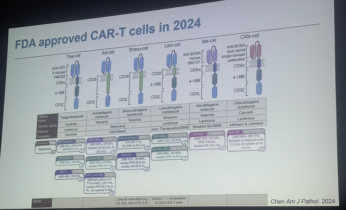 SaWangMD's tweet photo. Kick off the 39 th ICCS meeting with the first session on CART.  First talk by Mark Leick from MGH, here are the FDA approved CART https://t.co/GMDOXJ2lQ1