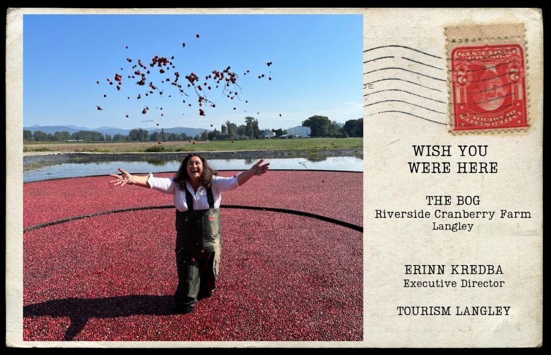 TIABC (@tiabc_ca) on Twitter photo Postcards from BC 📬
Wish you were here from Erinn Kredba, Executive Director of <a href="/TourismLangley/">Tourism Langley</a>, at the beautiful Riverside Cranberry Farm in Langley! 🍁🌾
#PostcardsFromBC #TourismLangley #ExploreBC #LangleyAdventures #CranberryHarvest #BCFarms #DiscoverLangley Postcards from BC 📬
Wish you were here from Erinn Kredba, Executive Director of <a href="/TourismLangley/">Tourism Langley</a>, at the beautiful Riverside Cranberry Farm in Langley! 🍁🌾
#PostcardsFromBC #TourismLangley #ExploreBC #LangleyAdventures #CranberryHarvest #BCFarms #DiscoverLangley