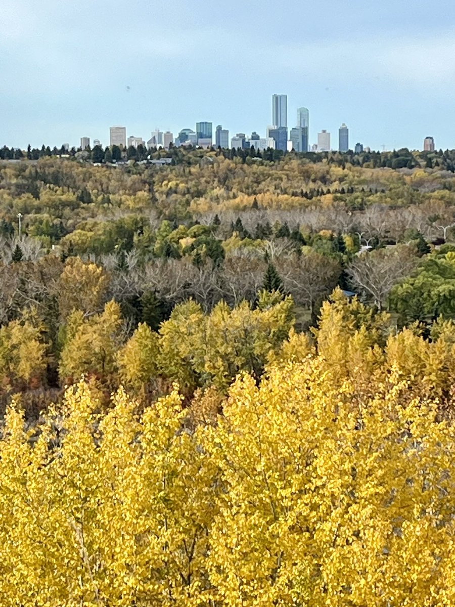 floreterna123's tweet photo. #yeg #autumn https://t.co/QfET1LLoT7