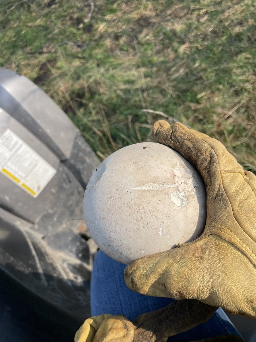 Kristen Thompson-Dow tweet media