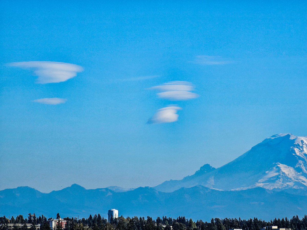 Michael Snyder tweet media