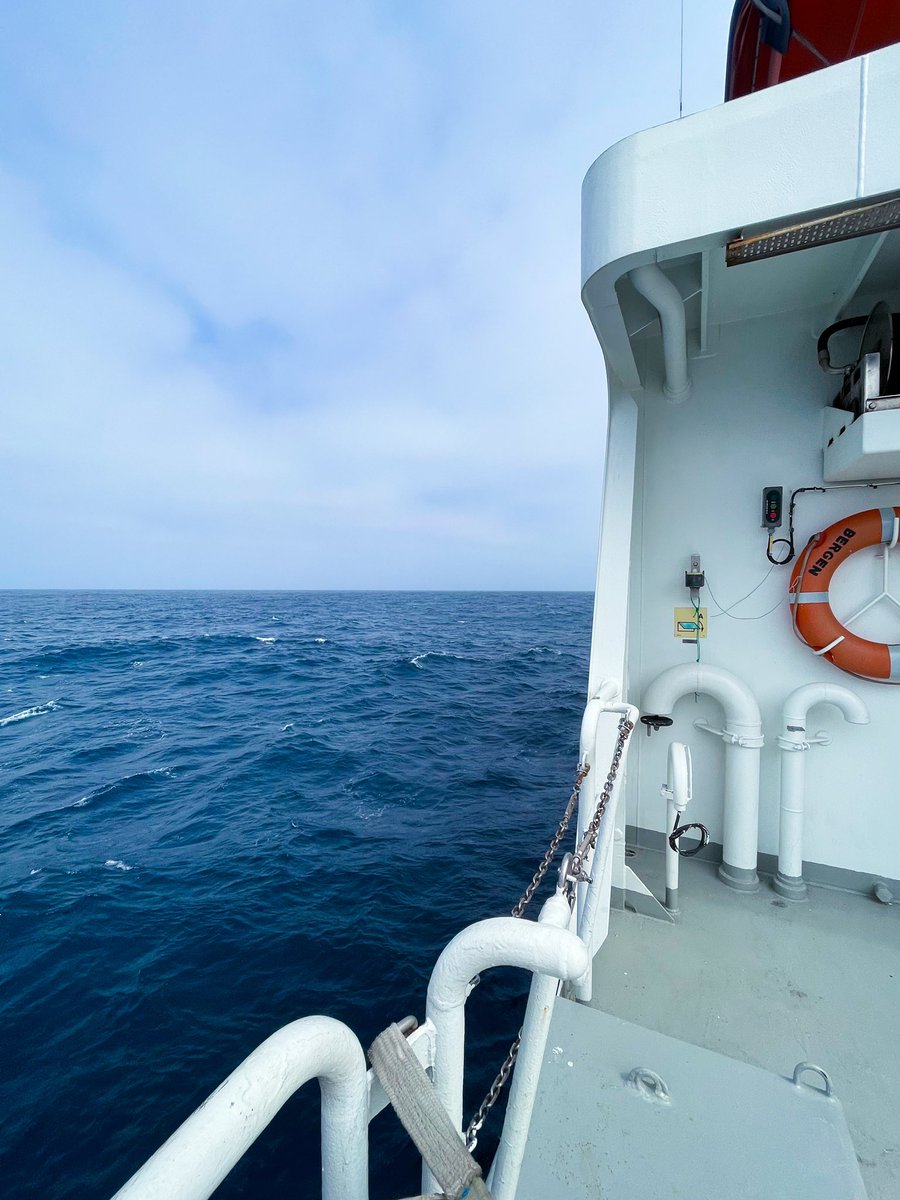 skein_lisa's tweet photo. In Namibia this month looking for deep-sea Vulnerable Marine Ecosystems 🪸 https://t.co/teoptNKDS5
