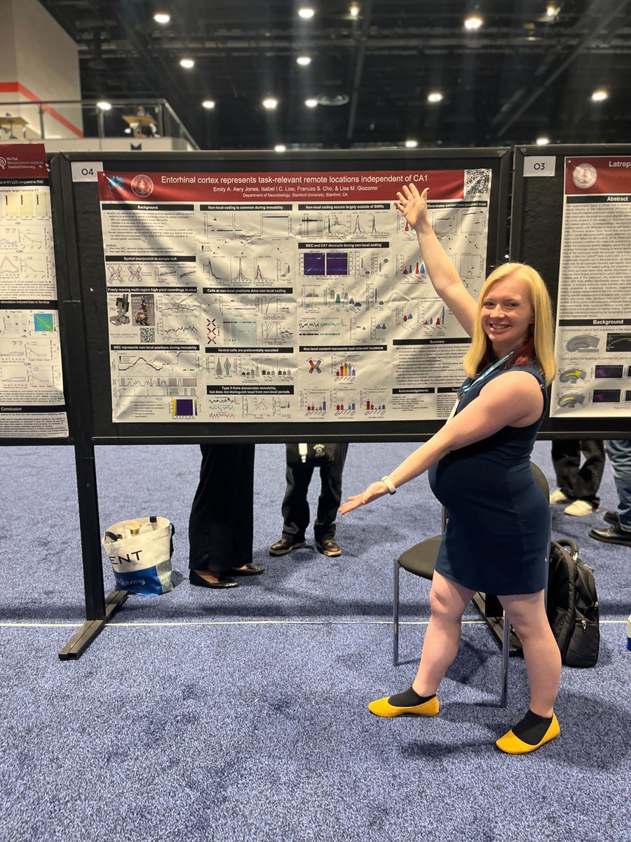 Spot the difference: same project, same conference, 1 year and 1 preprint and most of 1 pregnancy later. Thank you to everyone who stopped by my #SfN24 poster; I had a blast!
