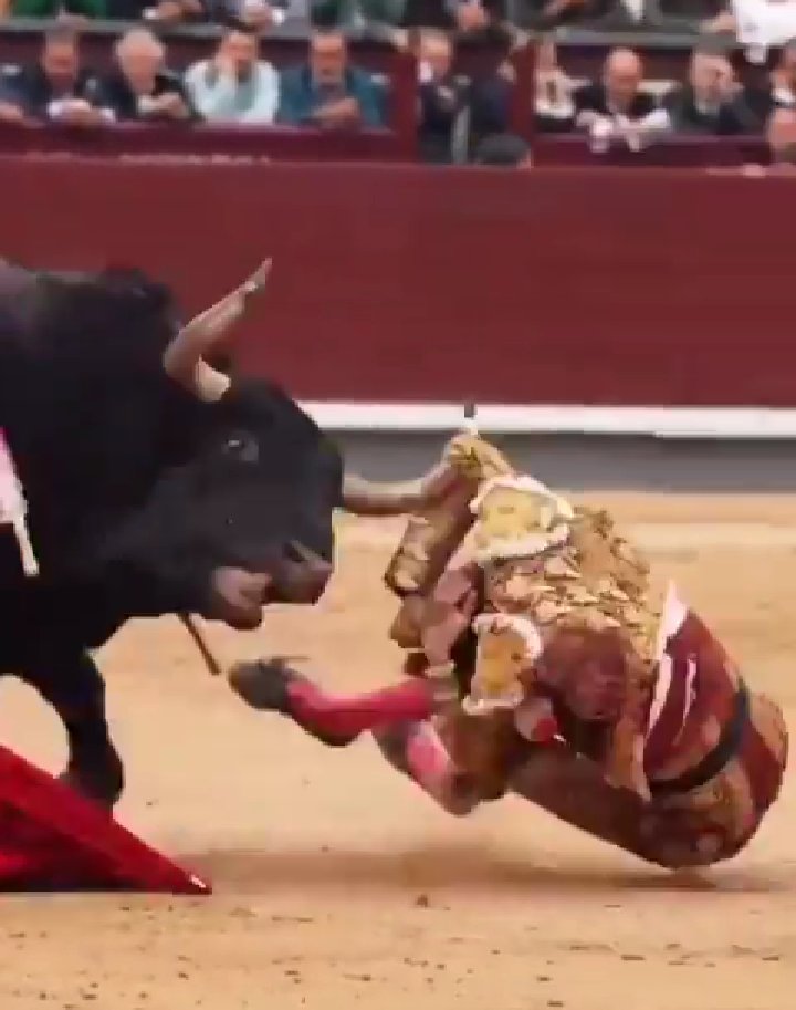 JonathanRa50398's tweet photo. No tengo nada en contra de Andrés Roca Rey pero si muere, muere en su ley y punto. 

Él decidió llevar una vida maltratando a seres inocentes que asuma. https://t.co/TPvyQhRfNb