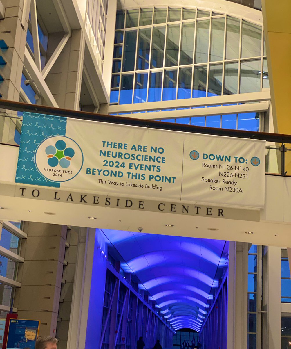 Black In Neuro 🧠 tweet media