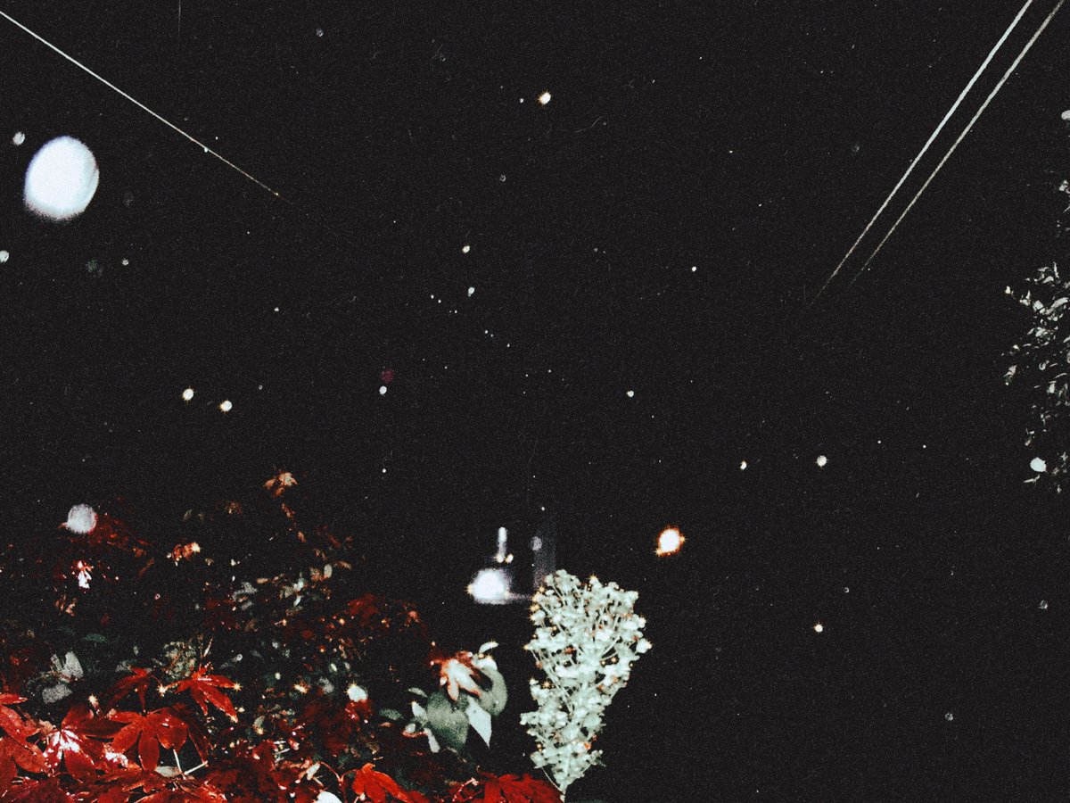 ᴅᴀɴɪᴇʟ tweet media