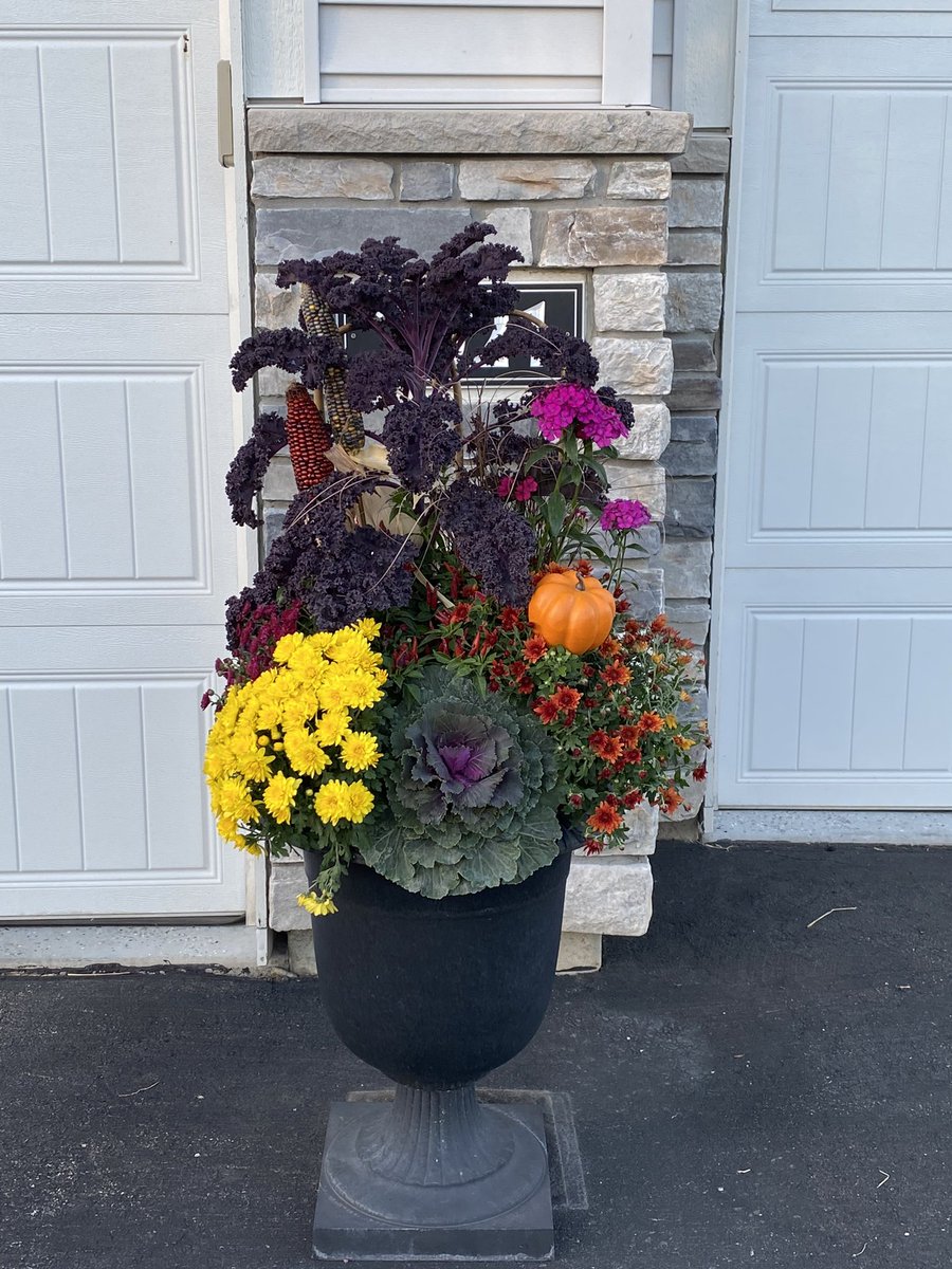 Carla Beaurline tweet media