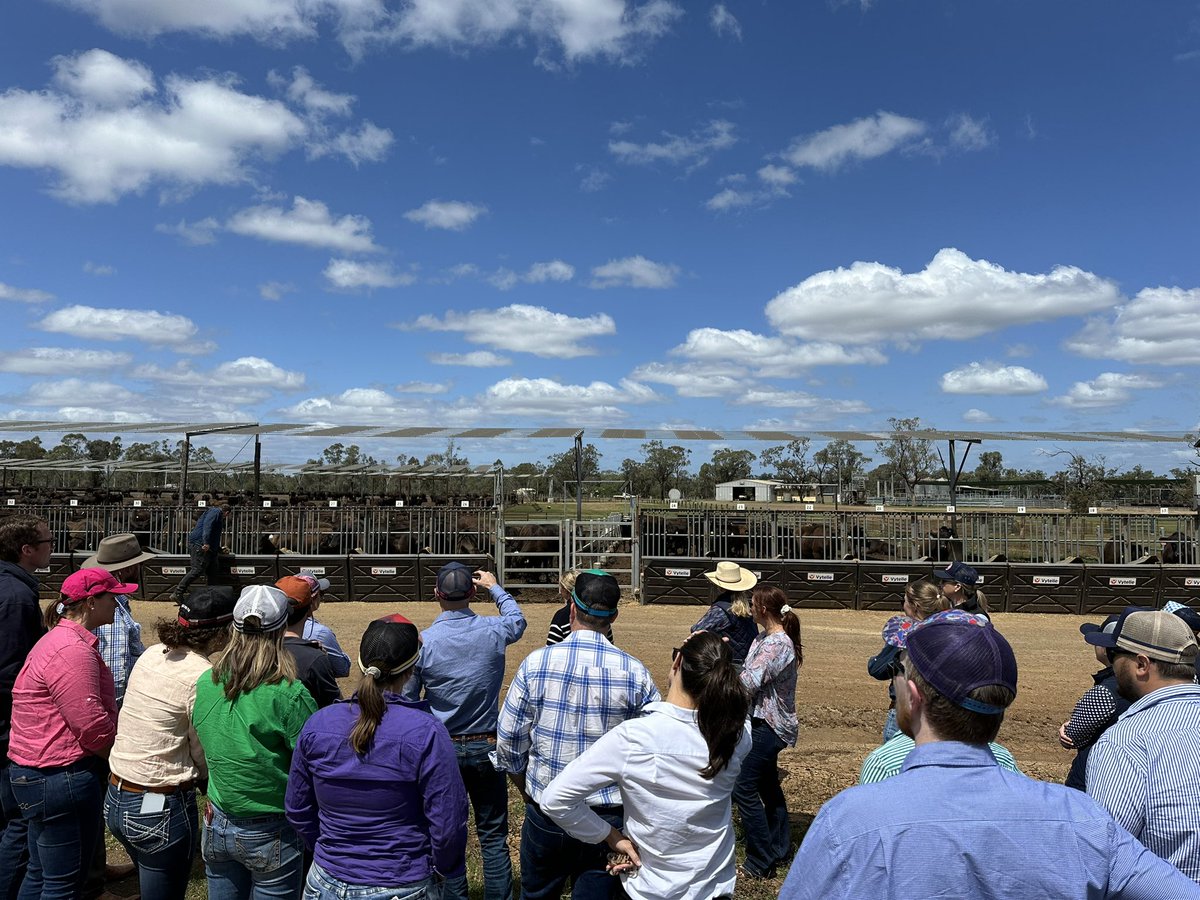 Ben Reeve tweet media