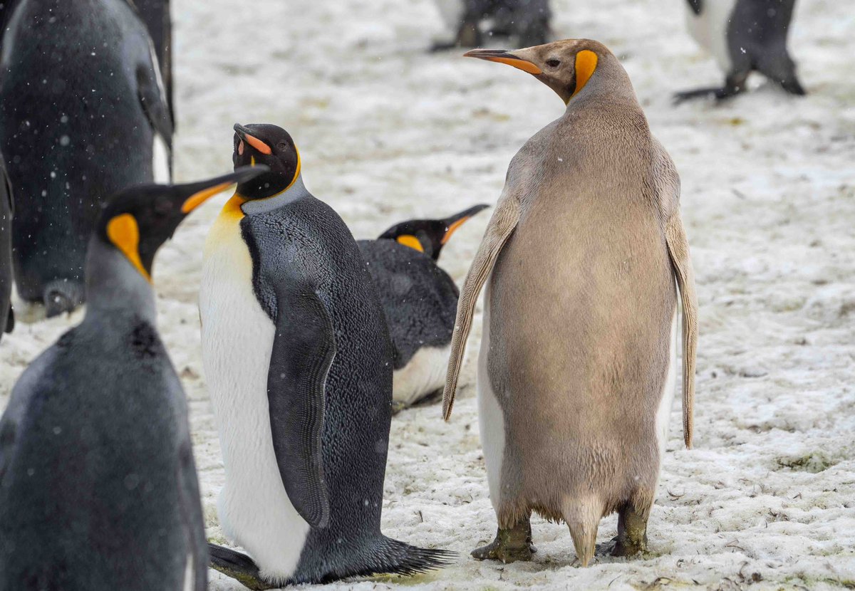 One of these doesn’t look quite right!