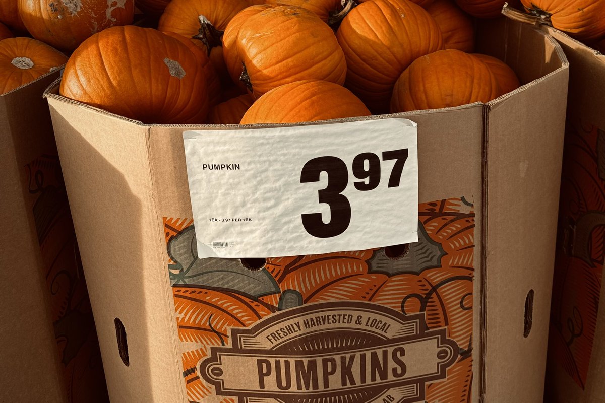 JAshleyNixon's tweet photo. Pumpkins, not turnips. Winter is coming.
Calgary, Alberta, Canada
#AlphabetChallenge #WeekNforNumbers https://t.co/ht8sLVY9Ag