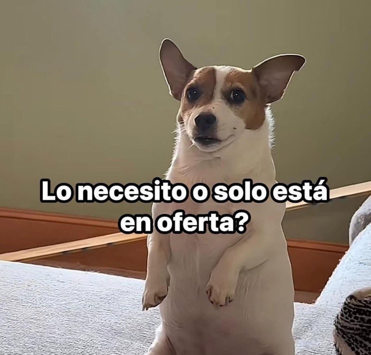 La pregunta que te tienes que hacer todos los días…