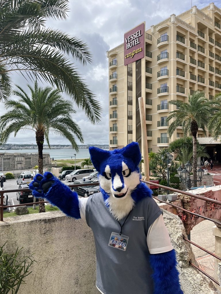 RyuMoFu's tweet photo. 先日開催された「おきけも！」に、RyuMoFuの部員2名が参加しました🐾
RyuMoFuとしてのイベント参加は、今回の「おきけも！」が初めてです！
今後も様々なイベントへの参加を予定しているので、これからもRyuMoFuをよろしくお願いします！
#おきけも
#もふサー 
#RyuMoFu https://t.co/pebNdVgovC