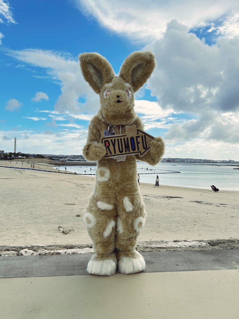 RyuMoFu's tweet photo. 先日開催された「おきけも！」に、RyuMoFuの部員2名が参加しました🐾
RyuMoFuとしてのイベント参加は、今回の「おきけも！」が初めてです！
今後も様々なイベントへの参加を予定しているので、これからもRyuMoFuをよろしくお願いします！
#おきけも
#もふサー 
#RyuMoFu https://t.co/pebNdVgovC