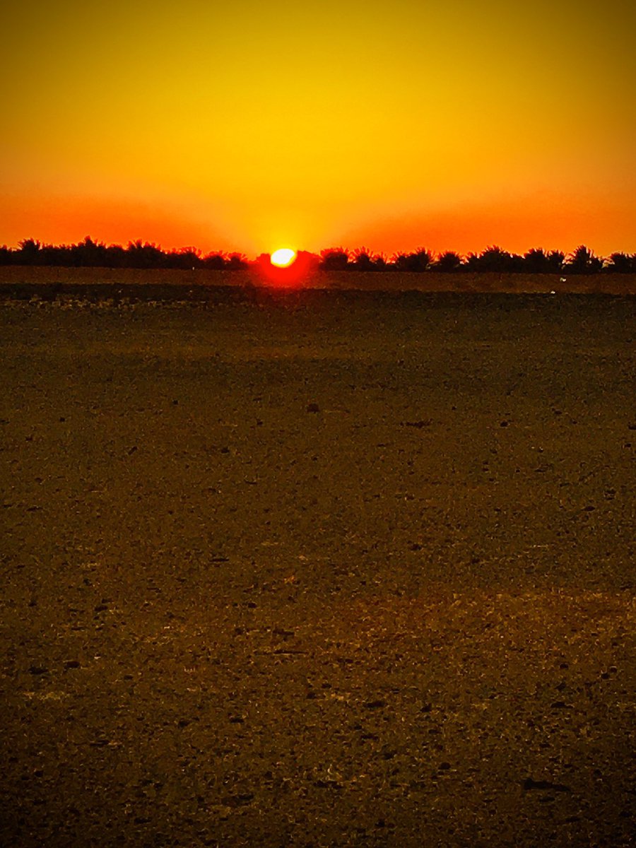 mhamd30800's tweet photo. عظيم الرجا،،فيك الرجاوي ومنك العون
إلـٰهي،،معي هقوات ماهيب معقوله

ولكن مع ولوج الشفق بين لون ولون
شخاتير دم ٍفي مقاضيب مصقوله

أباادعي وتحقيق الإجابة شبه مضمون
مع الصفرتين لها مواقيت مقبوله

وآعوّد على الواقع وأنا الداين المديون!
وعندي يقين ،، إن الصعيبات محلوله

#سفر_الدغيلبي
؛ https://t.co/owZjYt2ZU8