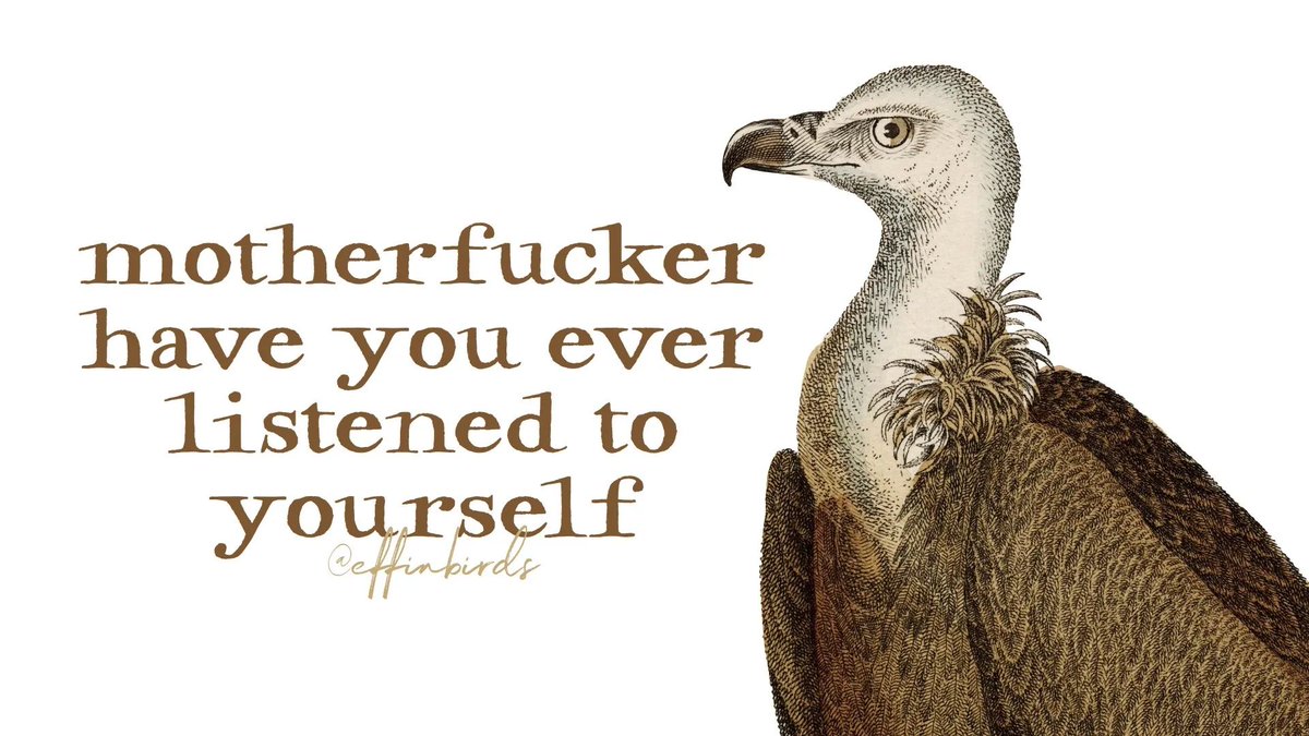 EffinBirds's tweet photo. https://t.co/DdW8Pj2tFG