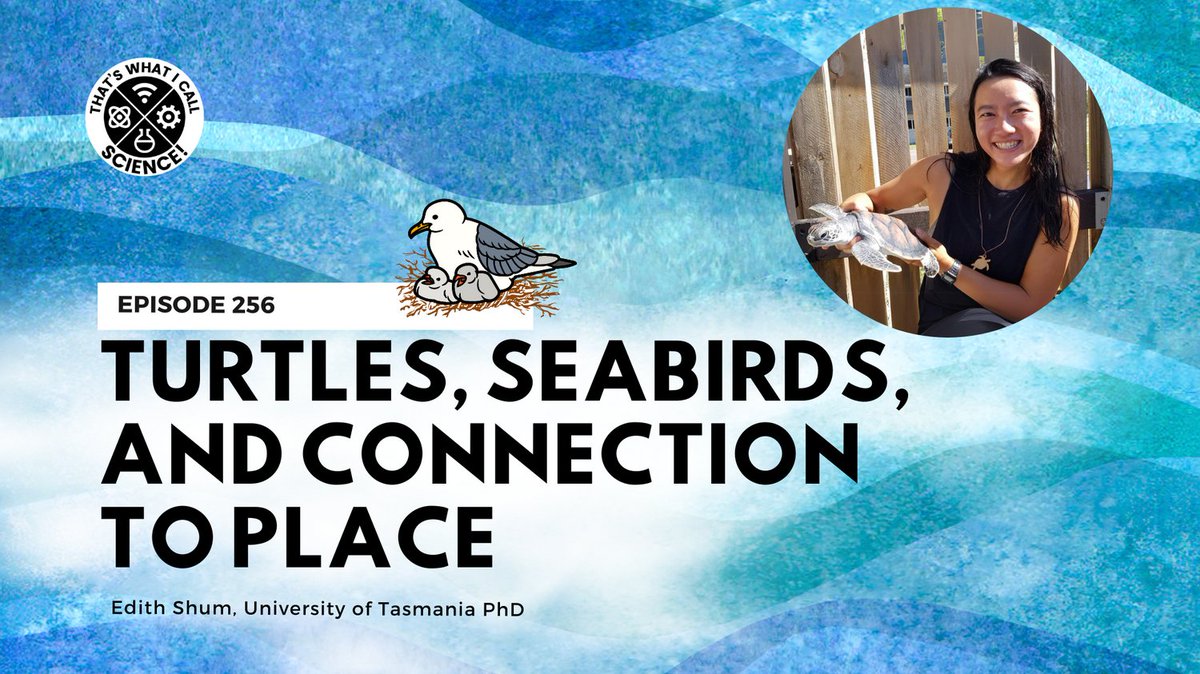 That's What I Call Science 🎙 (@thatssciencetas) on Twitter photo Tune in to hear from Edith Shum about her past and current adventures with sea turtles, drones, seabird colonies, and local community values.
#Tasmania #scicomm #stemmpodcast
#turtles #BrunyIsland #fieldwork #placeattachment #socialscience #zoology
<a href="/EdgeRadio993FM/">Edge Radio 99.3FM</a> Tune in to hear from Edith Shum about her past and current adventures with sea turtles, drones, seabird colonies, and local community values.
#Tasmania #scicomm #stemmpodcast
#turtles #BrunyIsland #fieldwork #placeattachment #socialscience #zoology
<a href="/EdgeRadio993FM/">Edge Radio 99.3FM</a>
