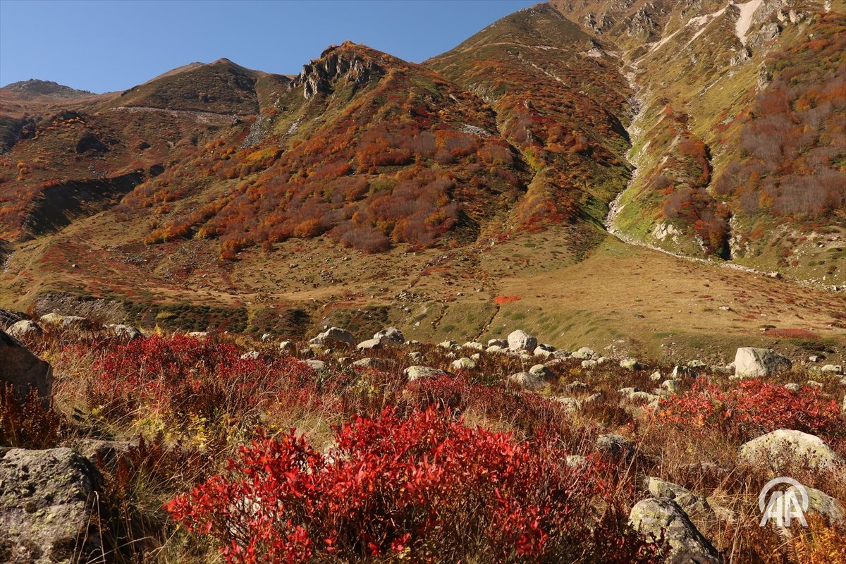 Rize'nin Çamlıhemşin ilçesindeki Galer Düzü, 1650 metre rakımı ve sarı ile kahverenginin onlarca farklı tonuyla görüntülendi aa.com.tr/tr/pg/foto-gal…