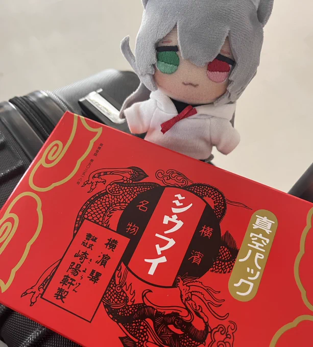 結局舟和の芋羊羹は買えなかったけど崎陽軒のシウマイは買えて良かったこつゆこがシウマイ食べたいらしい 
