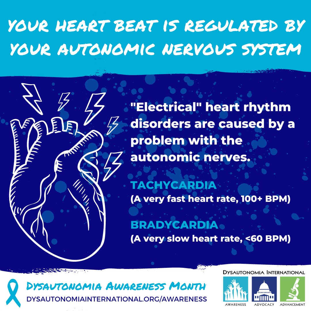 Dysautonomia's tweet photo. Did you know your heart beat is regulated by your autonomic nervous system? This is why people with dysautonomia often have heart rates that are abnormally fast or slow. Learn more at https://t.co/sPvAnCv5n9 #DysautonomiaAwarenessMonth #31DaysofDys https://t.co/IxgCNA4FYc