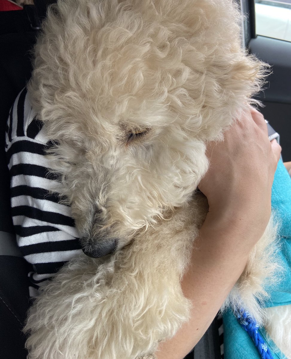 konaemmach's tweet photo. 💤 https://t.co/W0gKaEOawM