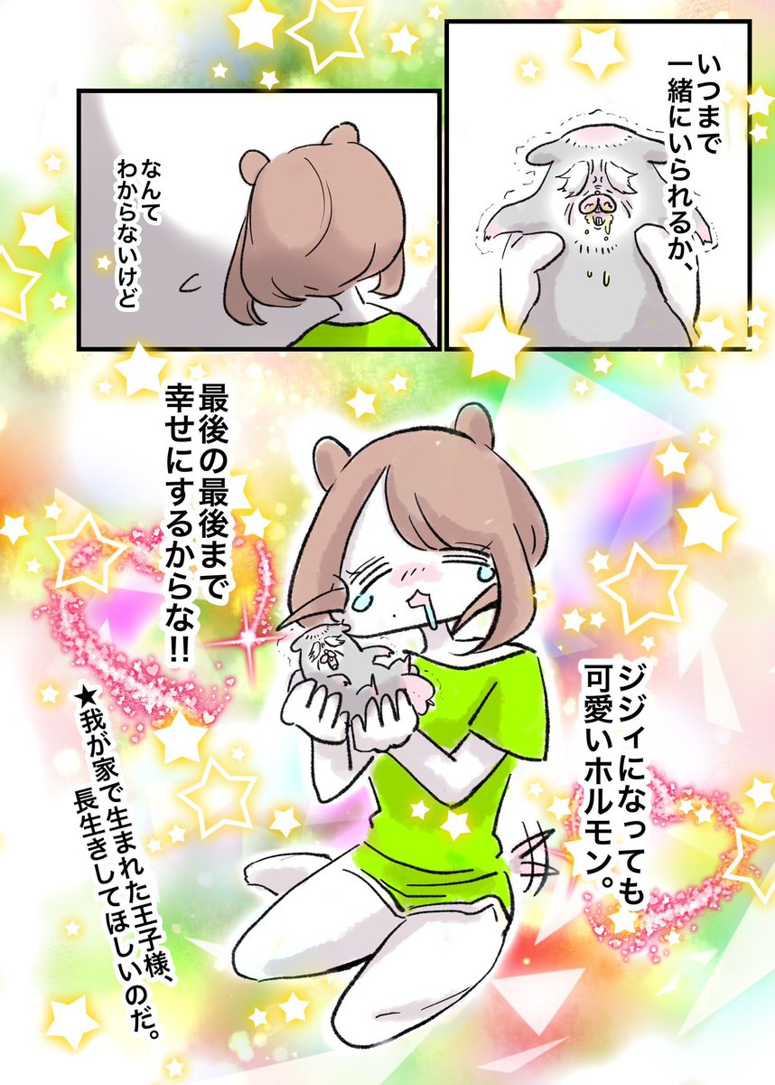 ハムスター狂人卍ちゃん🐹D13🐹みちのくｺﾐﾃｨｱ14 (@hamuchforever