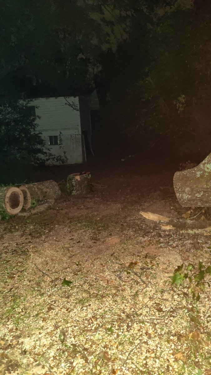 noeallstar33's tweet image. What me and Big bro cut out so we have a path that gets my mom out when the time comes 
#stillnopower
#stillnorunningwater
#Augusta
#HurricaneHelene
#HurricaneHelenevictims