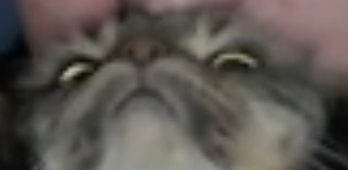 Alex Hart tweet media