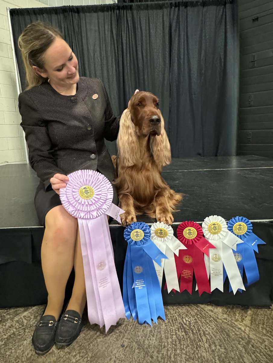 Lenox had a weekend! <a href="/WKCDOGS/">Westminster Kennel Club</a>