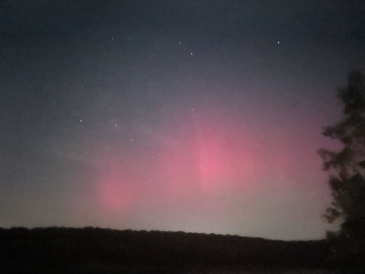 🇺🇸 Chris Trapp ₿ 🟠🌎 tweet media