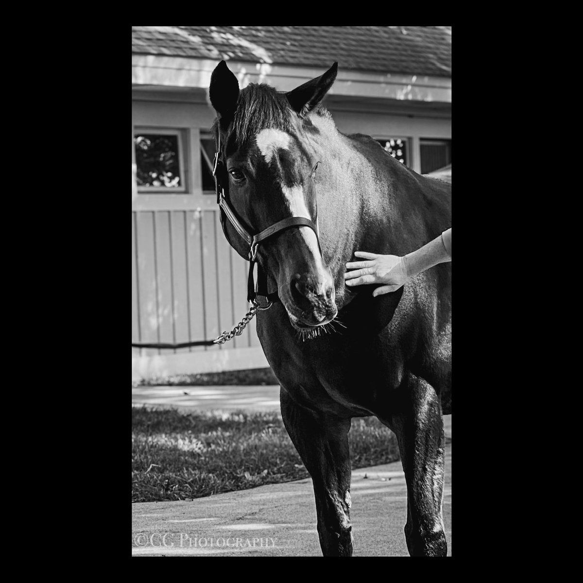 Courtney__G_'s tweet photo. 💛
#rachelalexandra https://t.co/RCICSLPP3j