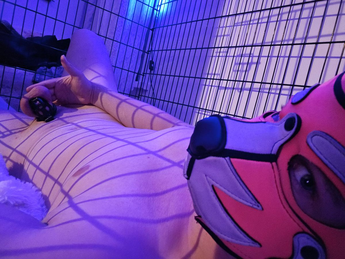 PupHunterXP's tweet photo. Day 6 🔐
Caged² and getting so desperate! https://t.co/huG81n2e9k