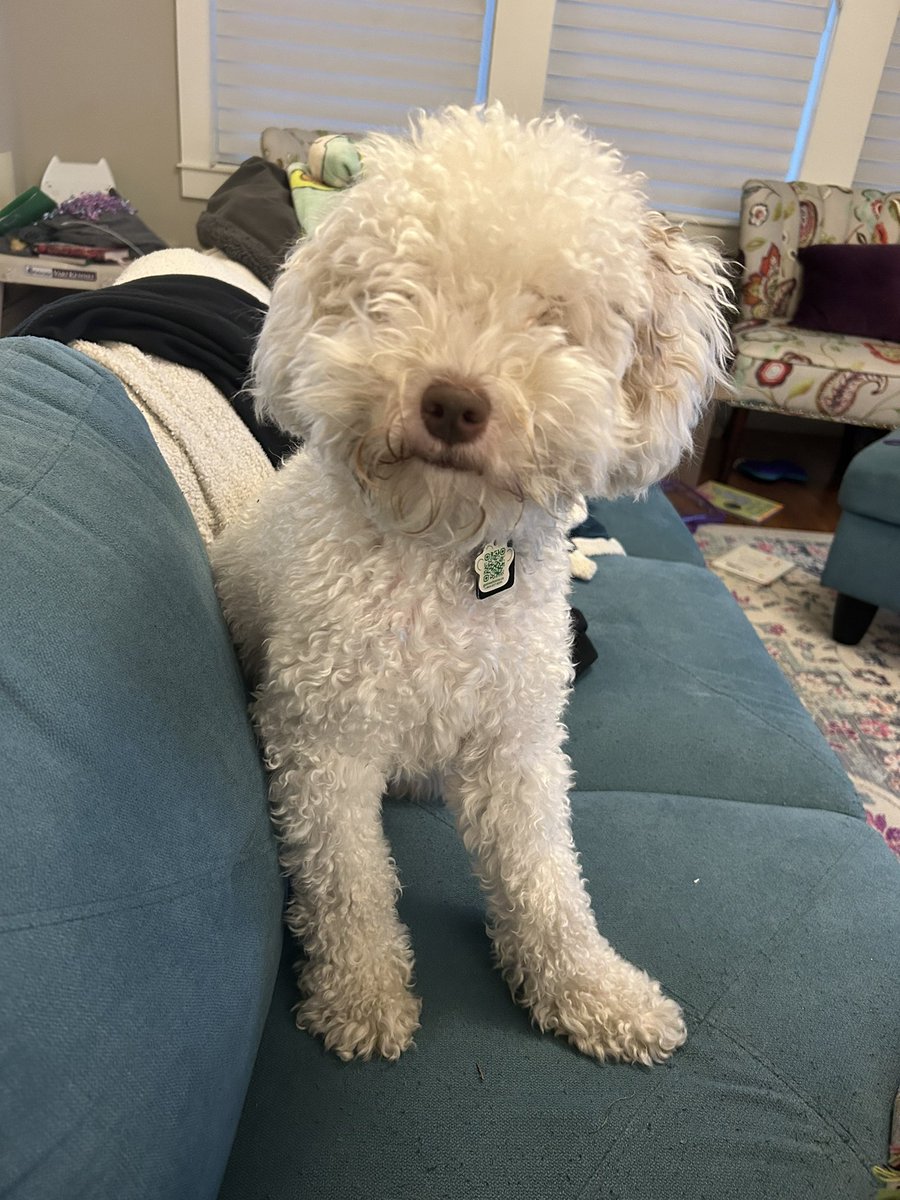 Jen Neuman tweet media