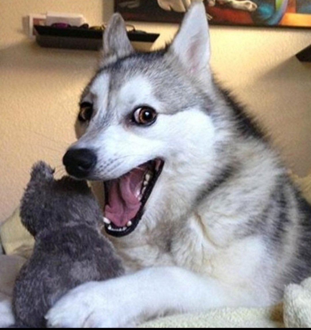 El gandor de la Academia...

#FinalLaAcademia