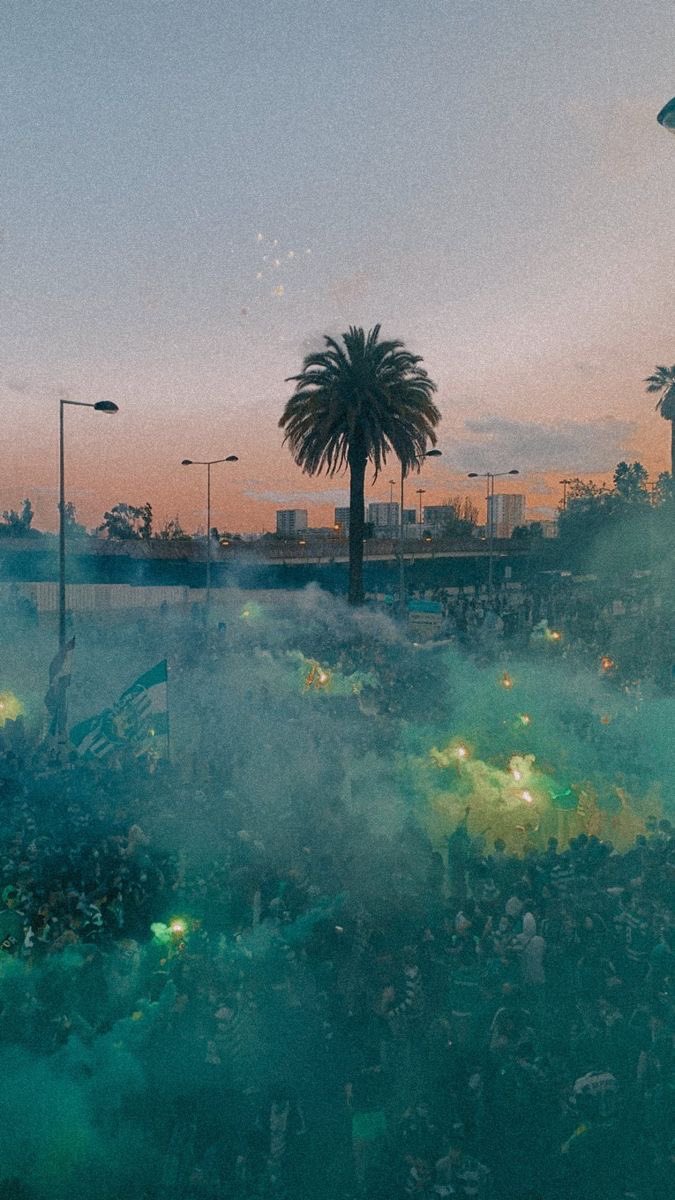 Sporting CP Pictures That Go Hard (@scp_pictures) on Twitter photo 