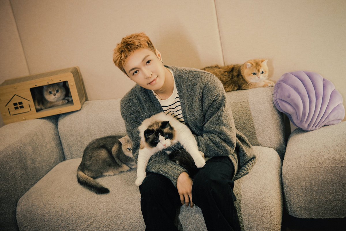 lay_studio's tweet image. Guess what the kitten said?🐱🎂🎉
Best wishes again for today's birthday boy@layzhang 
#LAY #LAYZHANG