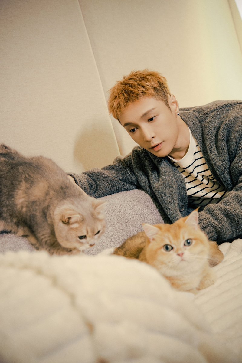 lay_studio's tweet image. Guess what the kitten said?🐱🎂🎉
Best wishes again for today's birthday boy@layzhang 
#LAY #LAYZHANG