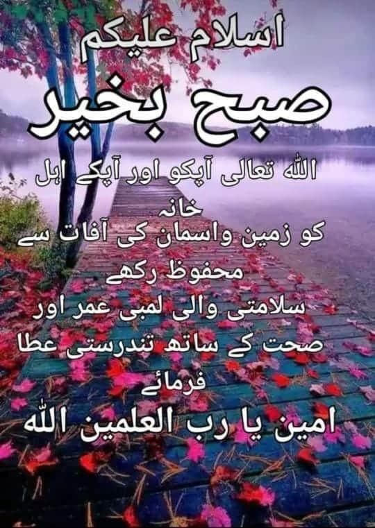 السلام وعلیکم ورحمتہ اللہ وبرکاتہ

صبح بخیر زندگی