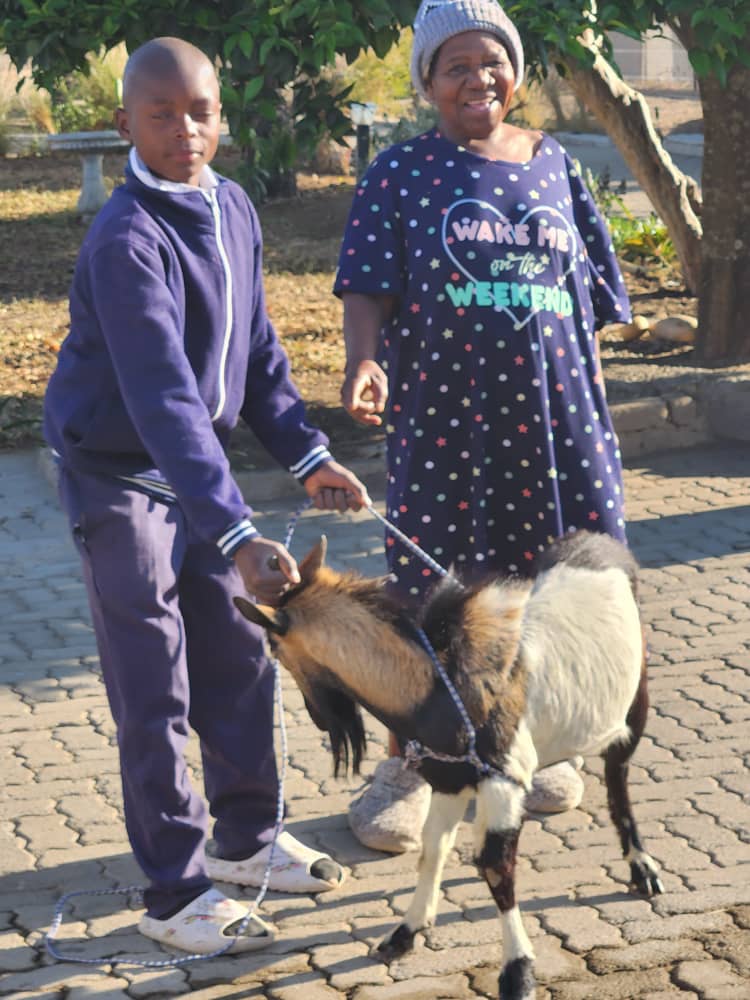 TheMirrorMsv's tweet image. 78-year-old Mbuya Raviro Takaona donates a goat to Domborenikiti Primary School in Nyazvidzi Gutu to supplement as relish for the food programme introduced by Government for pupils during the El Nino induced drought. She lost 40 goats to thieves 5 years ago and she says she gives…