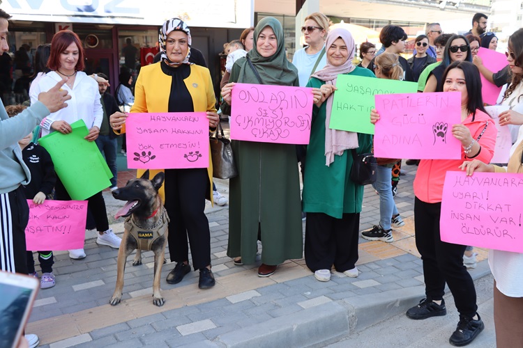 ÇANKIRI’DA HAYVANSEVERLER SOKAK HAYVANLARI YASASINI YÜRÜYÜŞLE PROTESTO ETTİLER olay18.com/cankirida-hayv… 
<a href="/TBMMresmi/">TBMM</a> #SokakHayvanlarıYasası #HayvanHaklarıSavunucuları @patileringucu_adina <a href="/MerveErzan/">Patilerin Gücü Adına</a> #HayvanlarıDeğilSapıklarıUyutun #PatiDostları #CanDostlarımız