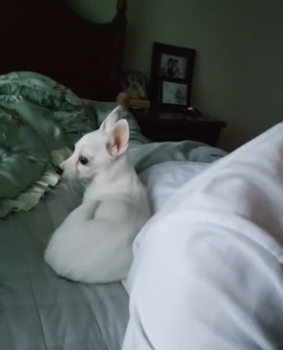 토리 공주님 .. 도운이 옆에 찰싹 붙어있는 게 너무 사랑스러워