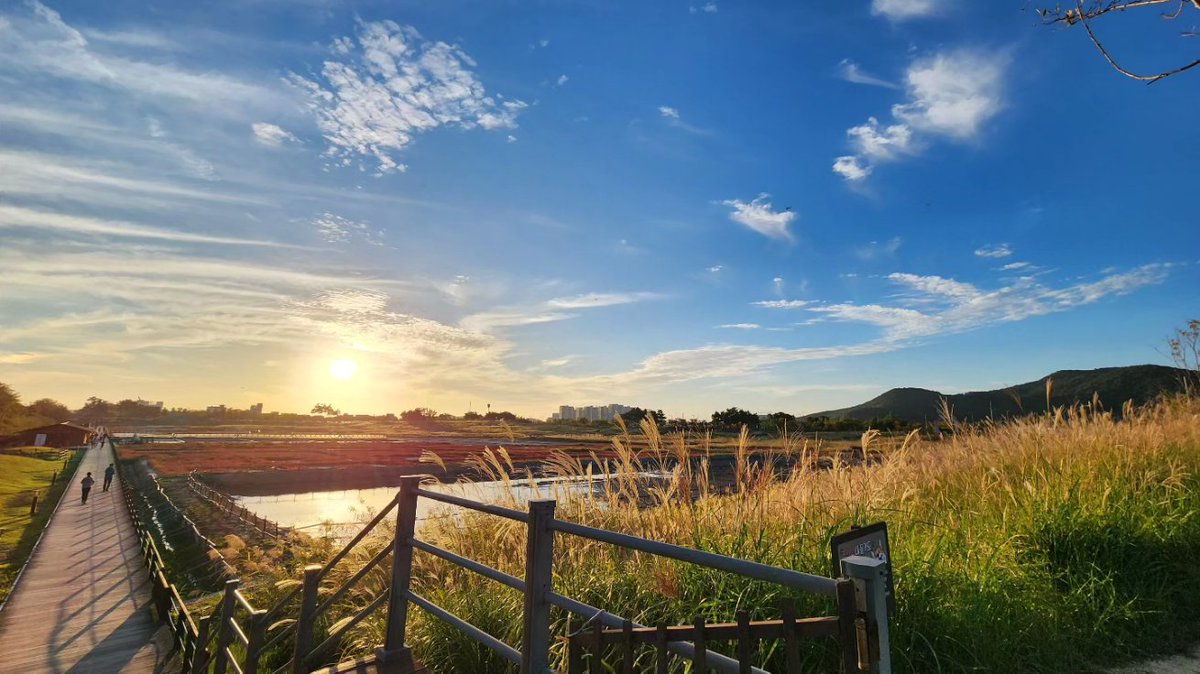 영종 아일랜드 

씨사이드파크.