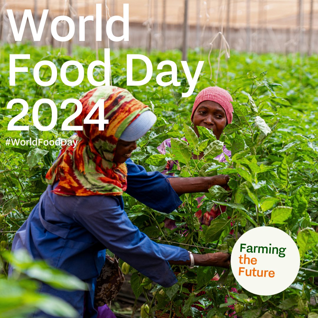 On #WorldFoodDay 🌍, the Netherlands 🇳🇱 reaffirms its commitment to ensuring food security 🌾 globally through innovative 💡 and sustainable 🌱 practices.

This year’s theme, The Right to Food 🍽️, highlights the pressing need for everyone to have access to nutritious food 🥗.