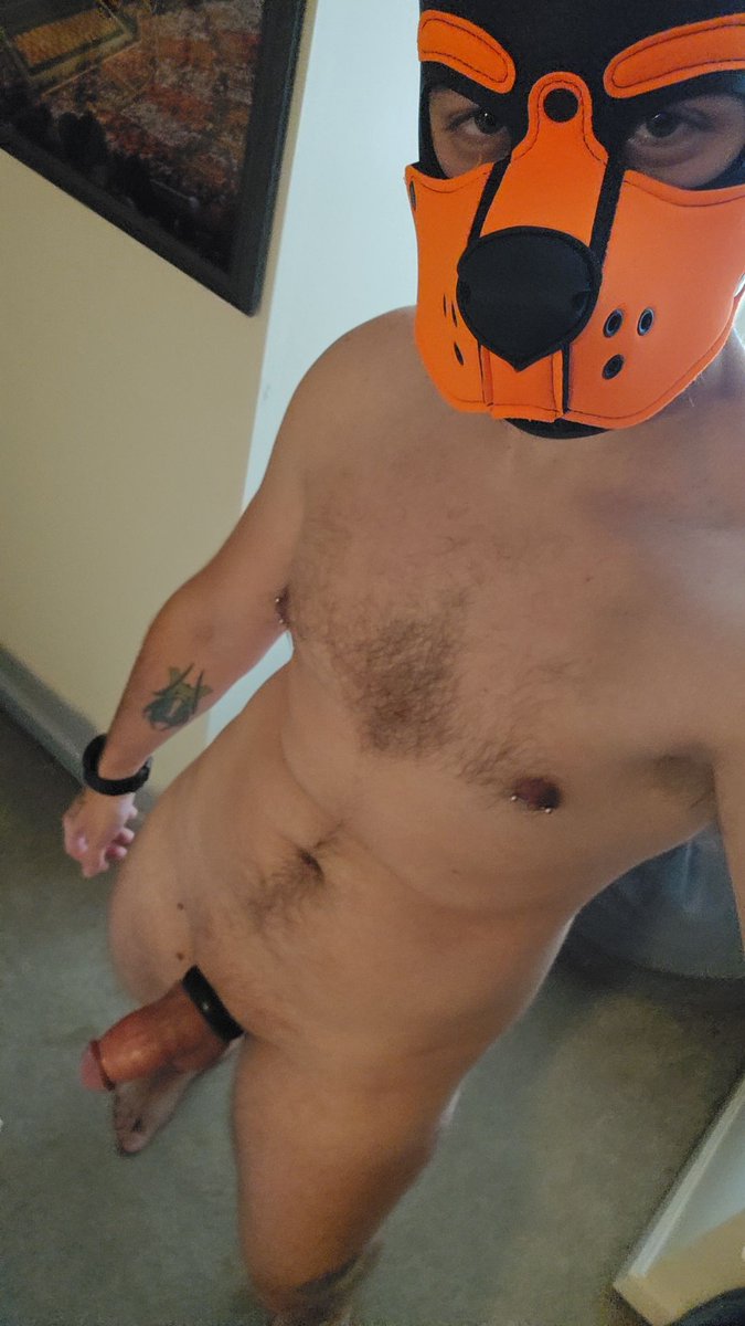 PupEros94's tweet photo. @ericfullerx Be right there to help 🤤 https://t.co/tAib2fWUEu