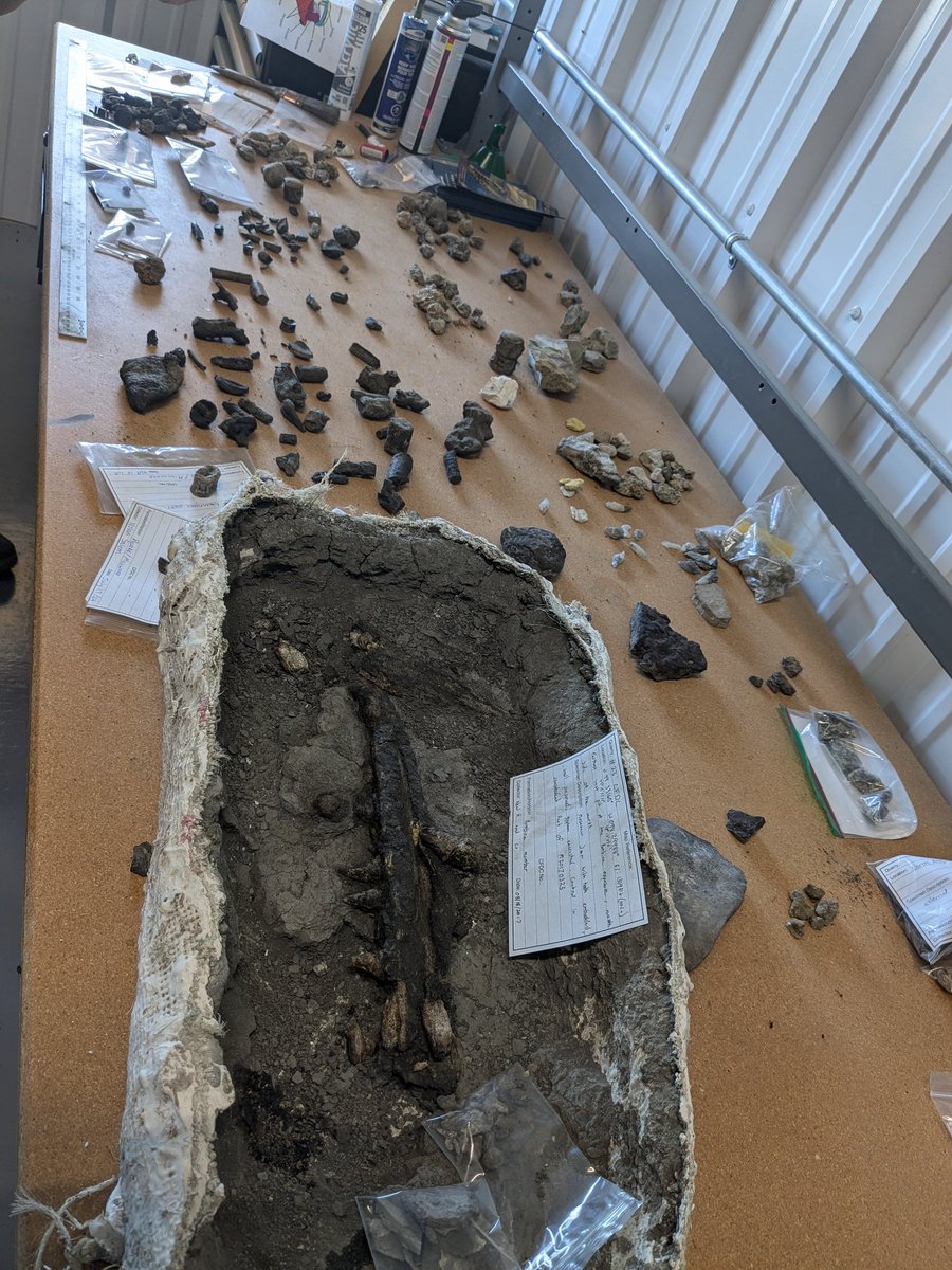 CambroJoe's tweet image. Great day at @discoverfossils field station, looking at the #Cretaceous rocks of southwestern Manitoba. Fantastic setup for their public dig tours, with so much potential for important discoveries! 
#ManitobaFossils