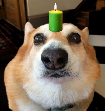 hazelonsolana's tweet photo. $hazel has been praying the gods for a god candle. We shall see if they listen. https://t.co/xRdQN1L8m2