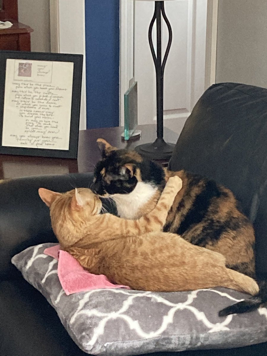 Andrea Lathan tweet media