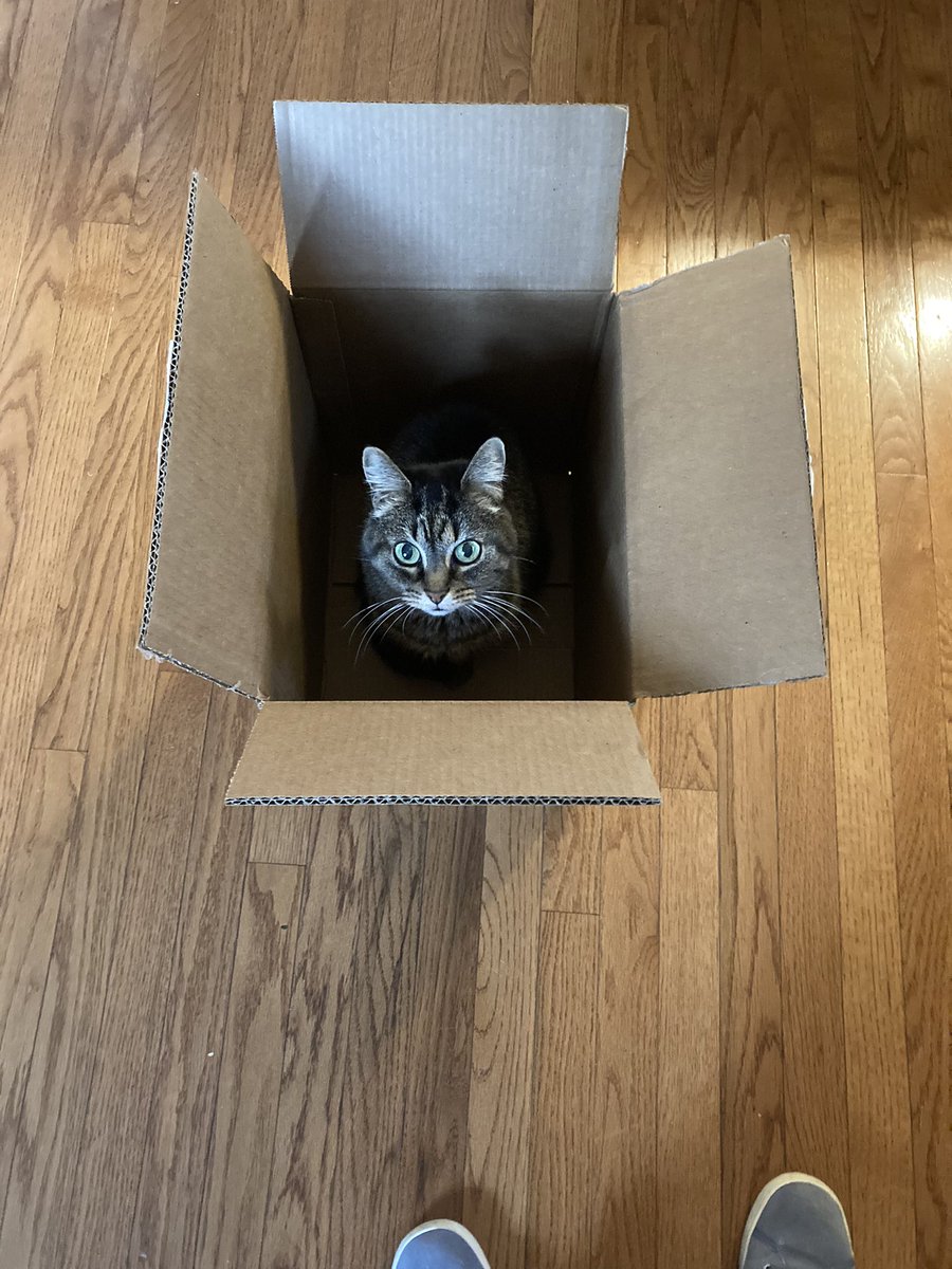 Andrea Lathan tweet media